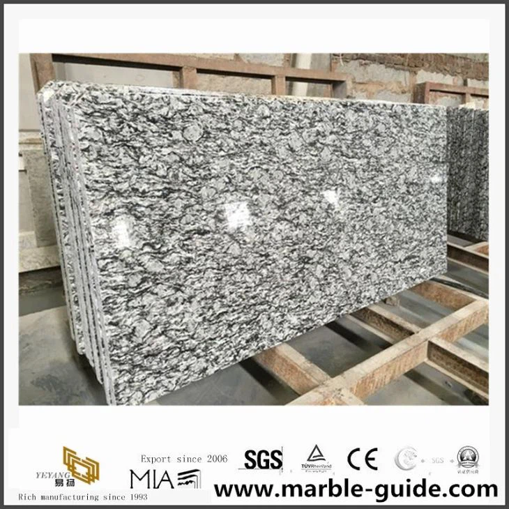 China Grey White Granite Countertop